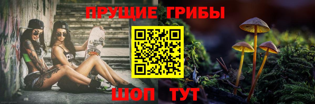 Галлюциногенные грибы прущие грибы  Вход с VPN  Псилоцибиновые грибы прущие грибы  Большой Камень 