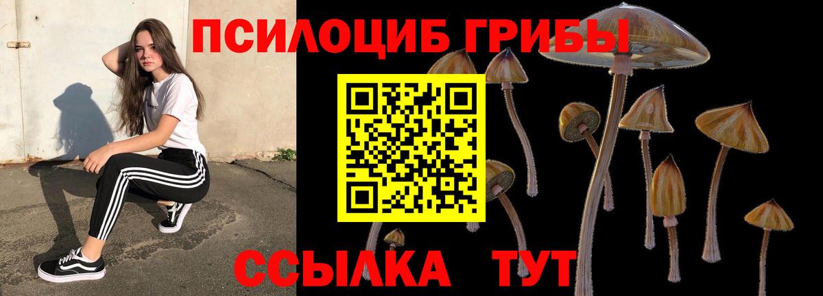 Псилоцибиновые грибы ЛСД Большой Камень